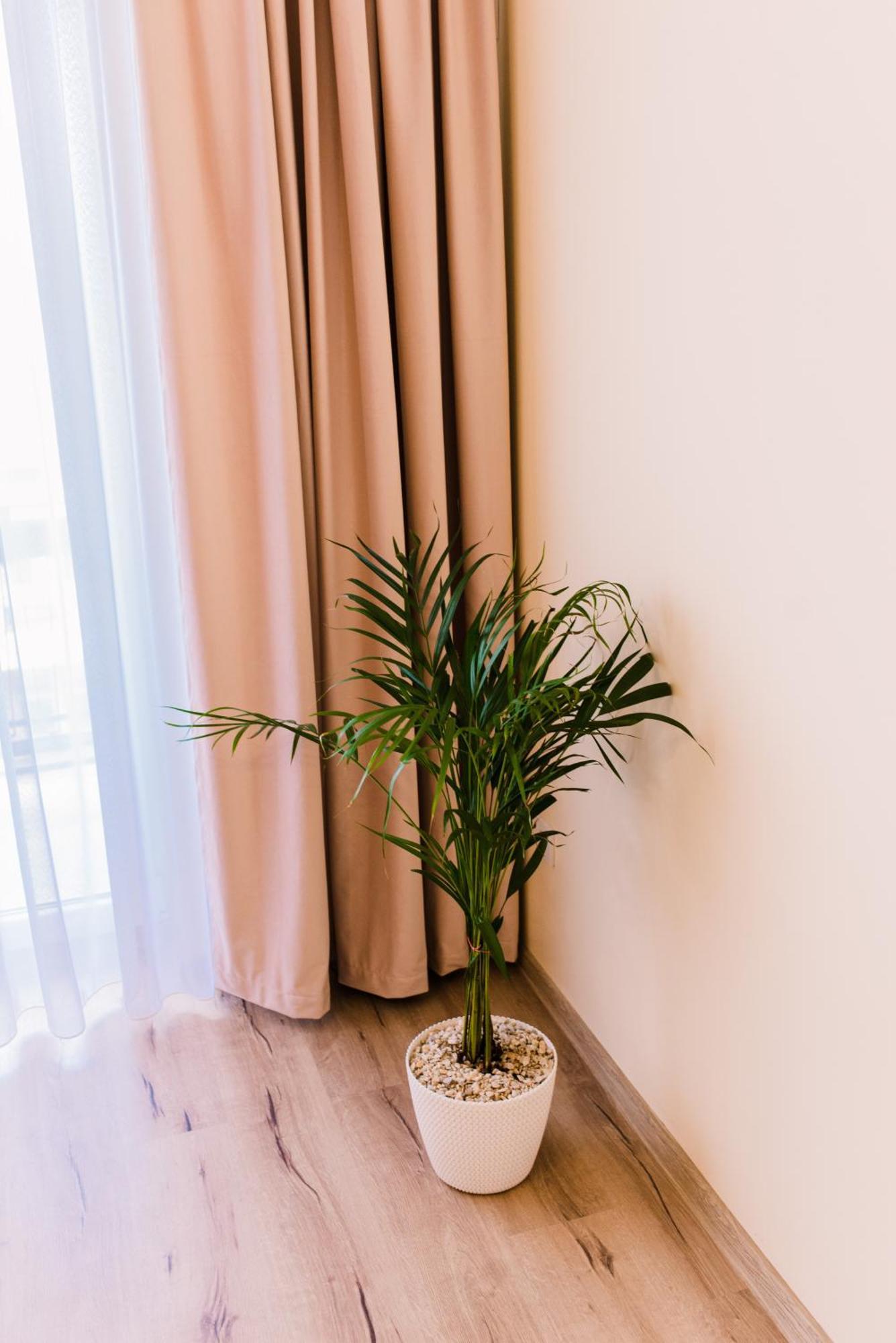 Central White Apartment Satu Mare Ngoại thất bức ảnh